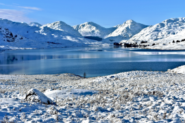 sneeuagtige-pieke 11 lys